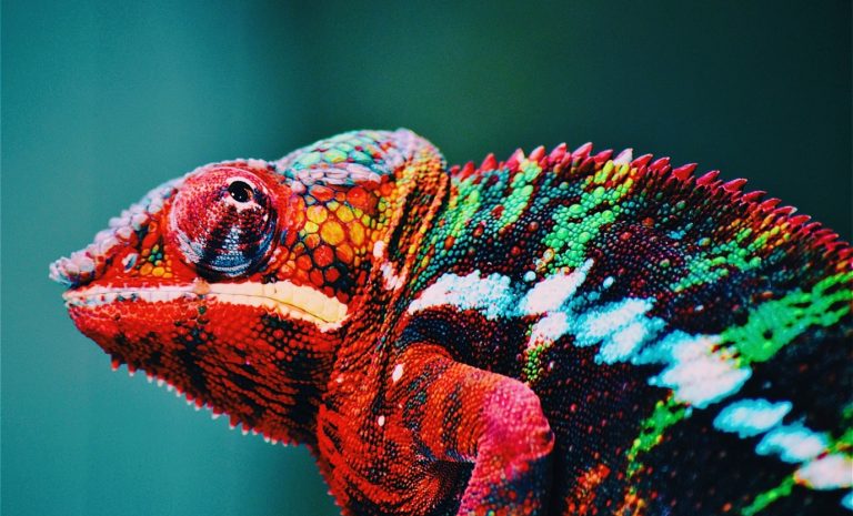 Have You Ever Thought About How Colour Affects Your Brand?