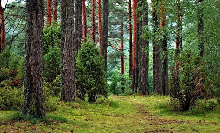 Everything That Can Go Wrong When Filming Outdoors