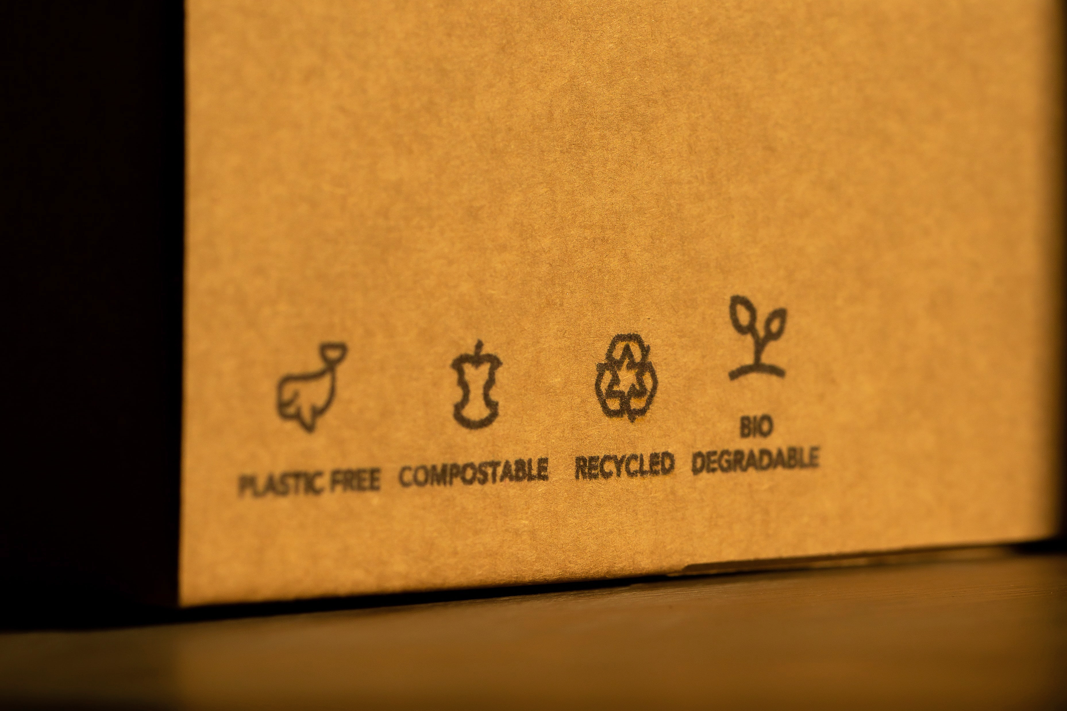 Image shows a cardboard box with sustainability icons reading plastic free, compostable, recycled, and biodegradable